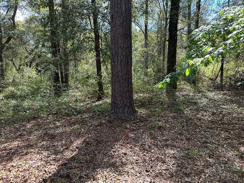 Lot 8C Knollwood Circle, Bainbridge, GA 39819