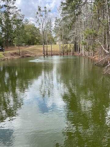 909 Cox Ave., Bainbridge, GA 39819