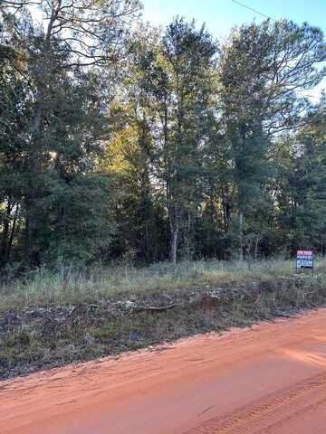 14 & 15 Paradise Drive, Donalsonville, GA 39845