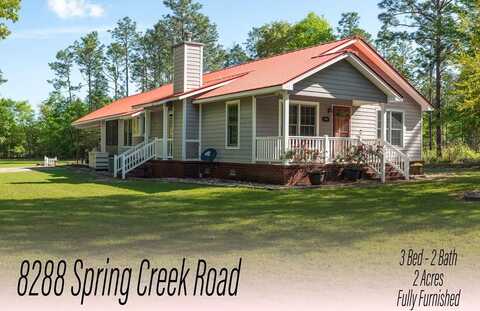 8288 Spring Creek Drive, Donalsonville, GA 39845
