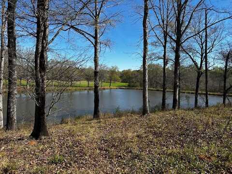 1504 US HWY 280 West, Other, GA 31780