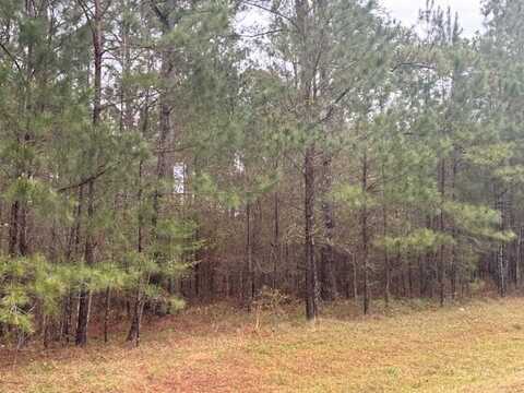 Lot 7 Cinnamon Dr, Bainbridge, GA 39819
