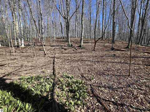 Parcel D Lobb Road, Frankfort, MI 49635
