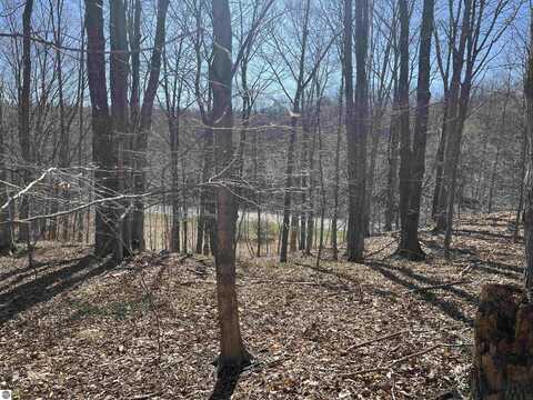 Parcel E Lobb Road, Frankfort, MI 49635