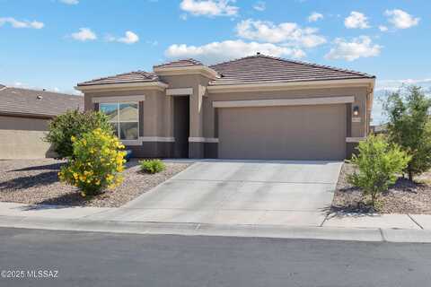 10216 N Leopard Gecko Terrace, Marana, AZ 85653