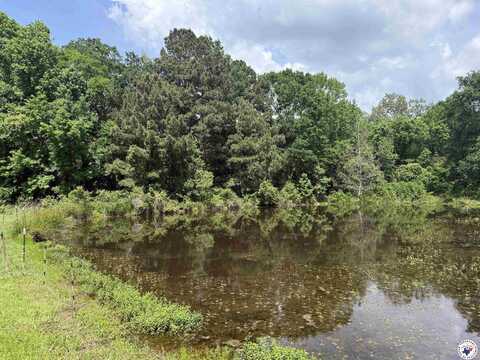 0 Dodd St, Out of Area-Texas, TX 75603