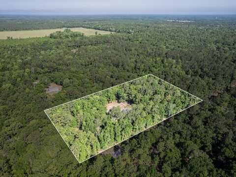 236 Forest Lane, Crawfordville, FL 32327