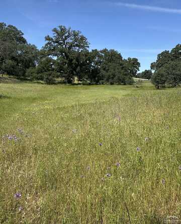 14.030 Highway 36 West, Red Bluff, CA 96080