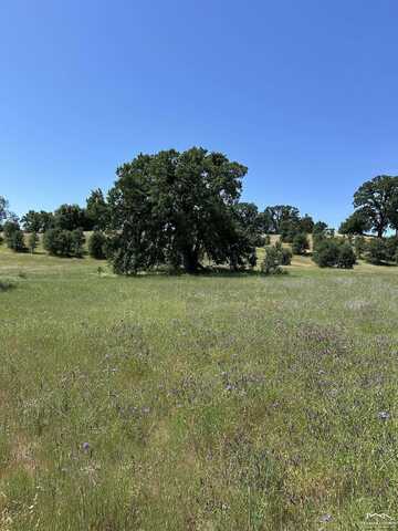 14.03 Highway 36 W, Red Bluff, CA 96080