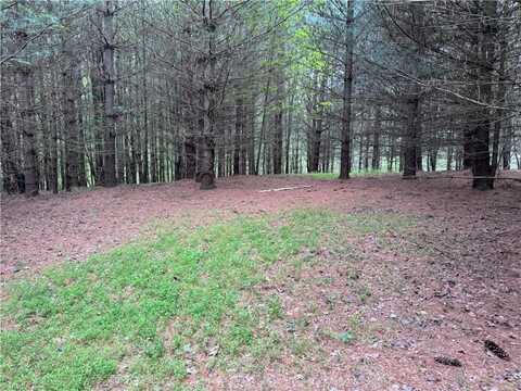 X Green Meadow Lane, Ararat, NC 27007