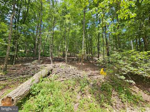117 ROBERTS ROAD, GREAT CACAPON, WV 25422