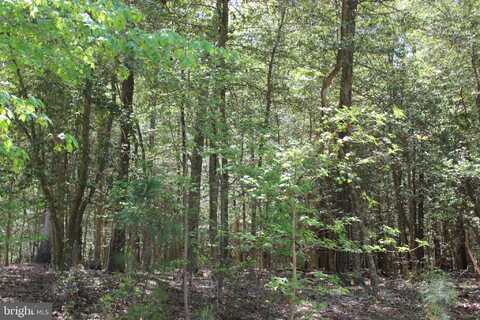 1780 YEOMAN COURT, GREENBACKVILLE, VA 23356