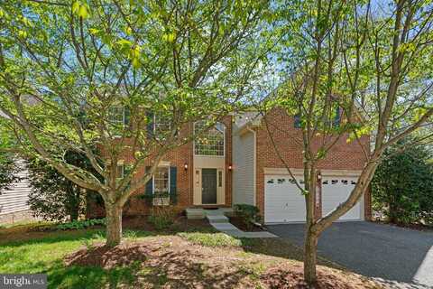 22104 GINGER TREE WAY, CLARKSBURG, MD 20871