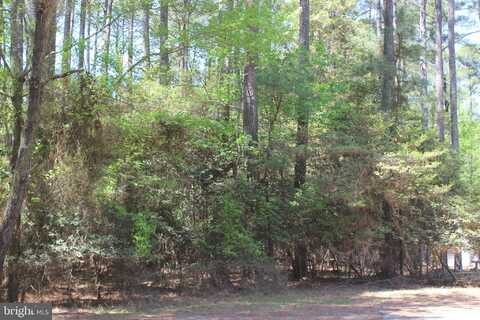 497 DRIFTWOOD DRIVE, GREENBACKVILLE, VA 23356