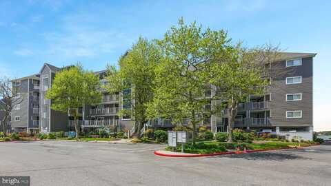 423 14TH STREET, OCEAN CITY, MD 21842