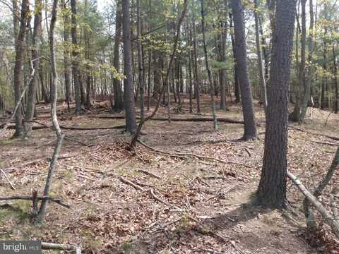 LOT 10 CANNON DRIVE, BERKELEY SPRINGS, WV 25411