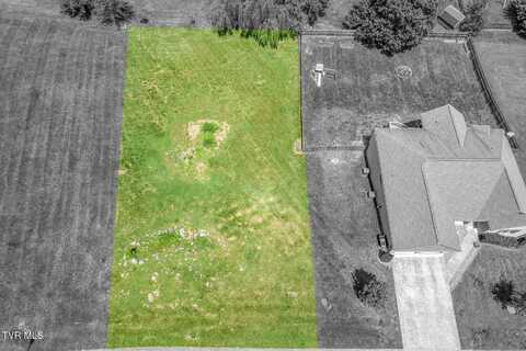 1004 Bellingham Drive, Kingsport, TN 37660
