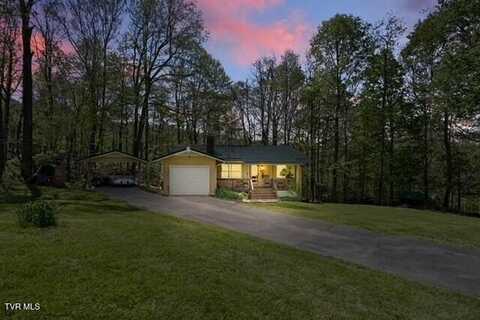 368 Burbank Road, Roan Mountain, TN 37687
