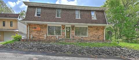 3851 Helen Henderson Highway, Davenport, VA 24239