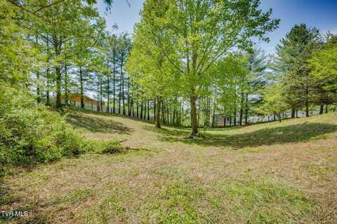 Woodbury Drive lot: 72, Johnson City, TN 37615