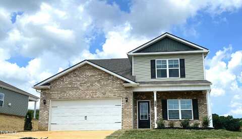 804 Pinhoti Street, Johnson City, TN 37604