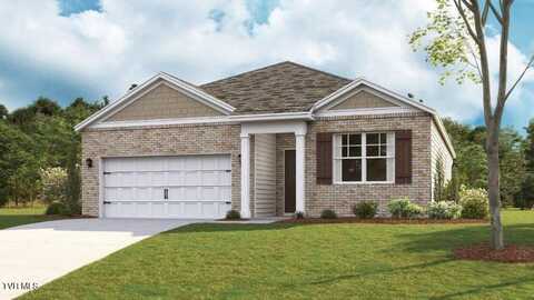 808 Pinhoti Street, Johnson City, TN 37604