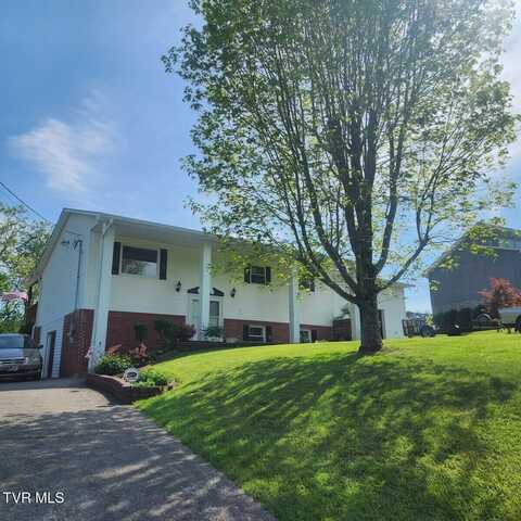 475 Brookdale Drive, Piney Flats, TN 37686