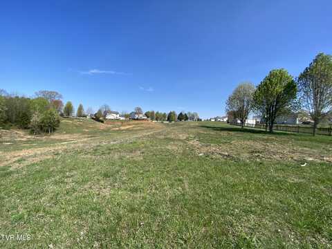 318 Sugar Plum Lane, Telford, TN 37690