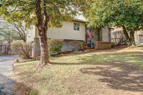 4105 Bradford Lane, Johnson City, TN 37601