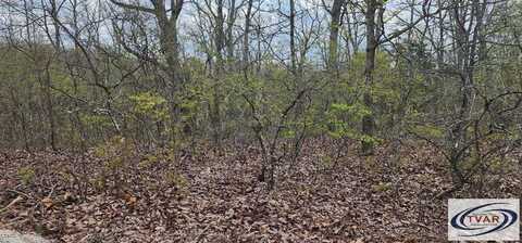 Id71 Riverview Rd, HOLLADAY, TN 38341