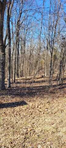 Lot 59 Eagle Shore Dr, DOVER, TN 37061