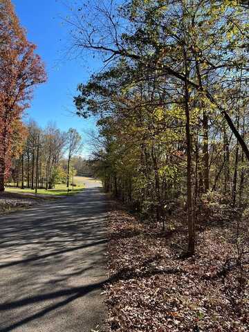 Forest Drive, PARIS, TN 38242