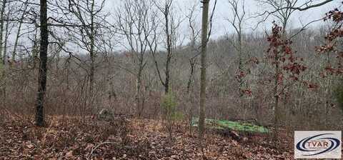 135 Old Hickory Dr, HOLLADAY, TN 38341