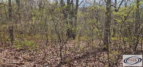 Id75 Riverview Rd, HOLLADAY, TN 38341