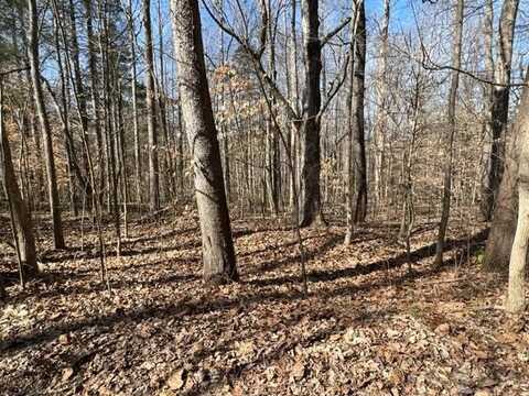 55-56 Old Tobaccoport Rd, BUMPUS MILLS, TN 37028