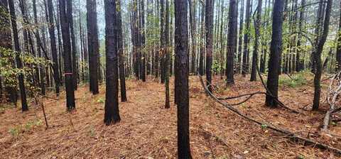 1371 Rocky Ridge Rd, CAMDEN, TN 38320