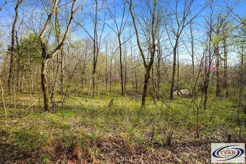 Melton Springs Rd, BIG ROCK, TN 37023