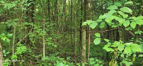 Shady Lane, BIG SANDY, TN 38221