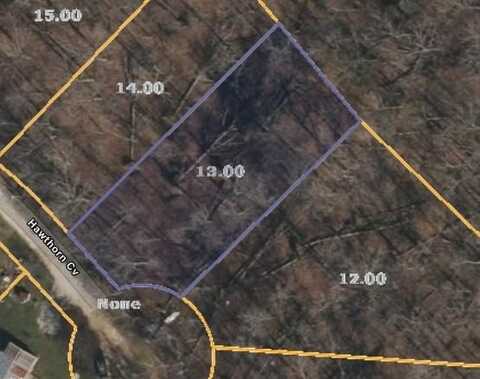 Id13 Hawthorn Cv, HOLLADAY, TN 38341