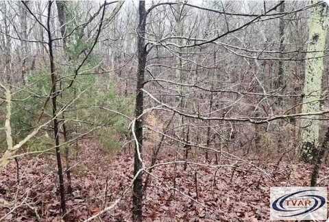 sycamore Dr, HOLLADAY, TN 38341
