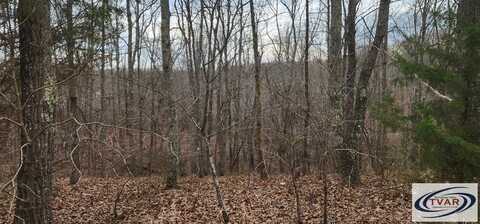 Birdsong Rd, HOLLADAY, TN 38341