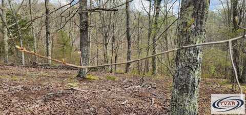 Id42 Greenbriar Ct, HOLLADAY, TN 38341