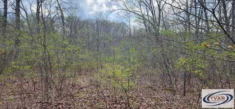 38 & 39 Greenbriar Ct, HOLLADAY, TN 38341