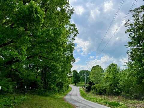 396 Turkeytown Rd,, Hilham, TN 38568