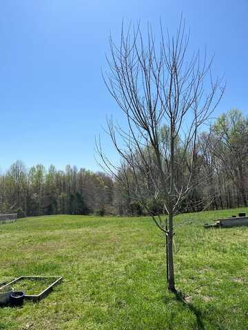 112 Dale Ln, Hilham, TN 38568