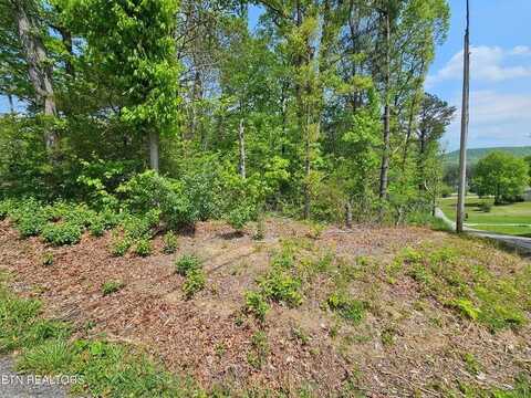 SUTHERLAND DR, Helenwood, TN 37755