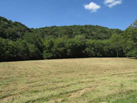14ac Hartsville Rd, LAFAYETTE, TN 37083
