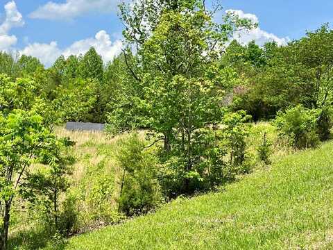 112b Dale Ln, Hilham, TN 38568