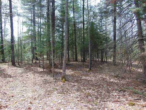 TBD 1 Hwy M28, Trout Creek, MI 49967