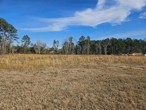 0 Anderson Rd, Nashville, GA 31639